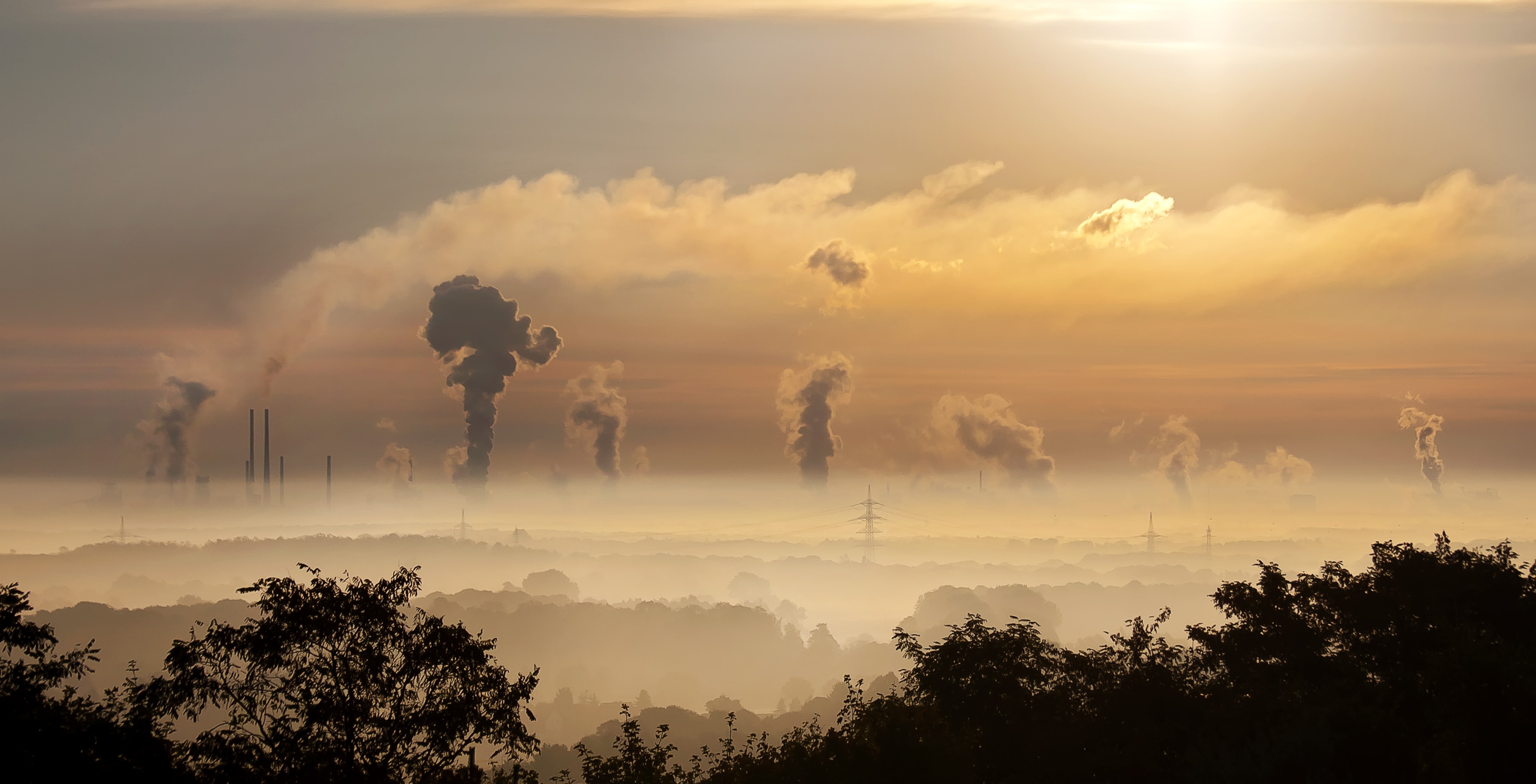 You are currently viewing Une Charte de bonnes pratiques pour la compensation carbone