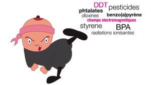 Lire la suite à propos de l’article Protéger de l’exposition aux pollutions environnementales ?