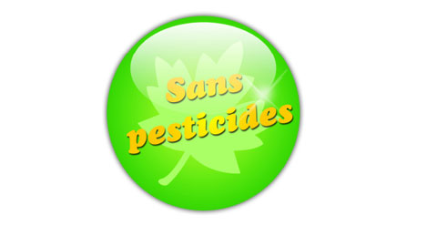 You are currently viewing La Semaine Sans Pesticides : c’est quoi encore ce truc ?