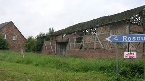 You are currently viewing Le pan-de-bois, c’est comme les abeilles : beau, utile, en danger