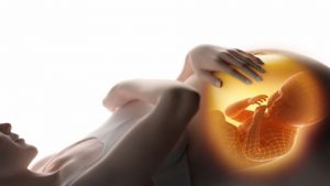 Lire la suite à propos de l’article L’inaction de la Commission en matière de PE au menu de la Cour de justice de l’Union Européenne…