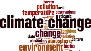Lire la suite à propos de l’article Accord climatique : le succès in extremis de la négociation ne doit pas cacher la faiblesse de l’ambition de la Belgique