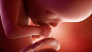 Lire la suite à propos de l’article Perturbateurs endocriniens : remarquable victoire de la Suède contre la Commission !