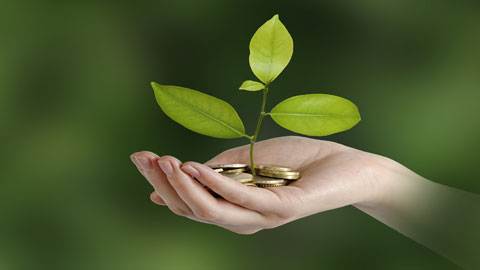 You are currently viewing Business et environnement : un mariage possible ? (partie 2)