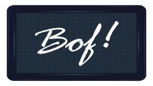 Lire la suite à propos de l’article Le permis parlementaire : par la porte ou par la fenêtre !