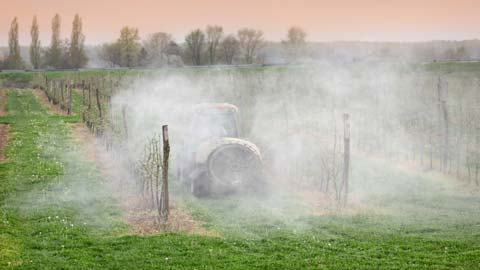 You are currently viewing Pesticides agricoles et santé des riverains