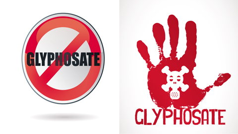 You are currently viewing Bonne nouvelle : le vote sur le glyphosate est reporté !