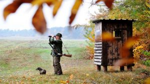 Lire la suite à propos de l’article La forêt wallonne, une chasse gardée. Le poids du lobby de la chasse.