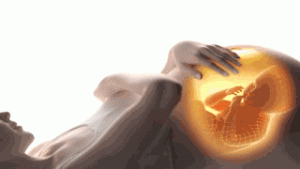 Lire la suite à propos de l’article La Commission ne protège pas  les citoyens  contre les perturbateurs endocriniens !