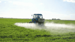 Lire la suite à propos de l’article Glyphosate : le principe de précaution jeté aux orties