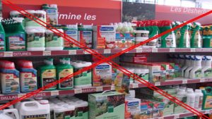 Lire la suite à propos de l’article Vente de pesticides et protection des particuliers : les jardineries se prennent un zéro pointé !