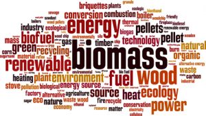 Lire la suite à propos de l’article Paquet énergie climat 2030 : la Commission européenne suit IEW sur la centrale biomasse !