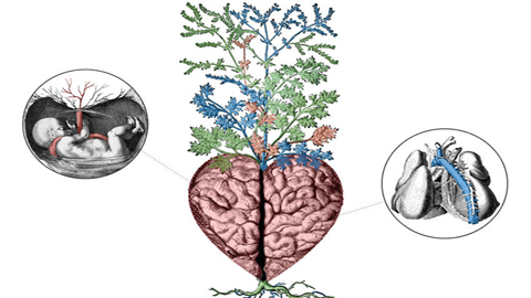 You are currently viewing Pour un environnement sain