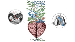 You are currently viewing Université de la Fédération : c’est ce vendredi !