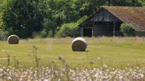 You are currently viewing Réforme de la Politique Agricole Commune : la société civile se mobilise