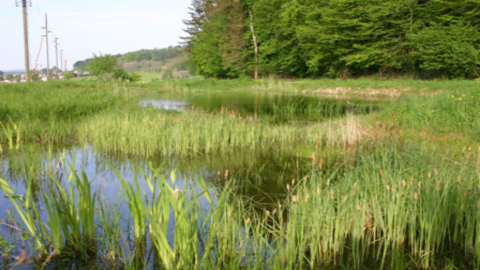 You are currently viewing Quel avenir pour les compensations dans les projets d’aménagement du territoire?