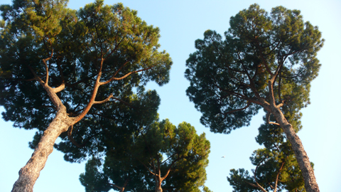 You are currently viewing Les juristes de l’ABeFDATU ont examiné le CoDT et passent le relais à la Task Force