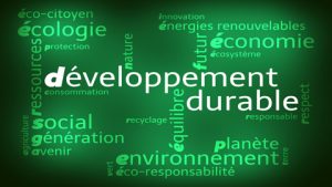 Lire la suite à propos de l’article Débat : Développement durable versus résilience