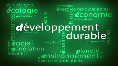 You are currently viewing Débat : Développement durable versus résilience