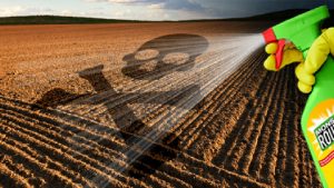 Lire la suite à propos de l’article Libérons la Wallonie des pesticides…