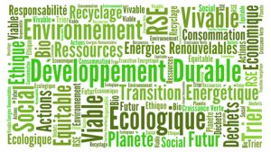 Lire la suite à propos de l’article L’Etat fédéral et le DD : bilan (provisoire)