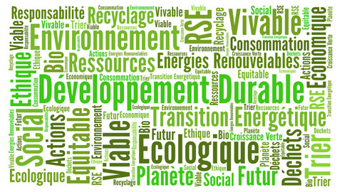 You are currently viewing L’Etat fédéral et le DD : bilan (provisoire)