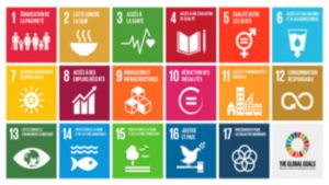 Lire la suite à propos de l’article Engagement des acteurs dans les Objectifs de Développement durable:  renforcer la transversalité et améliorer la participation