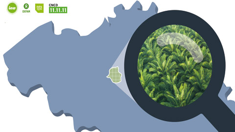 You are currently viewing Le biodiesel d’huile de palme en Belgique : un remède pire que le mal