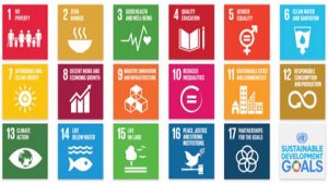 Lire la suite à propos de l’article Les SDGs, un levier pour le changement ?