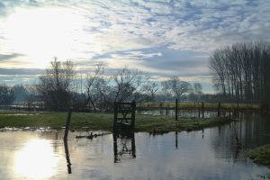 Lire la suite à propos de l’article Inondations et coulées de boue : à la croisée des chemins de l’agriculture et de l’aménagement du territoire