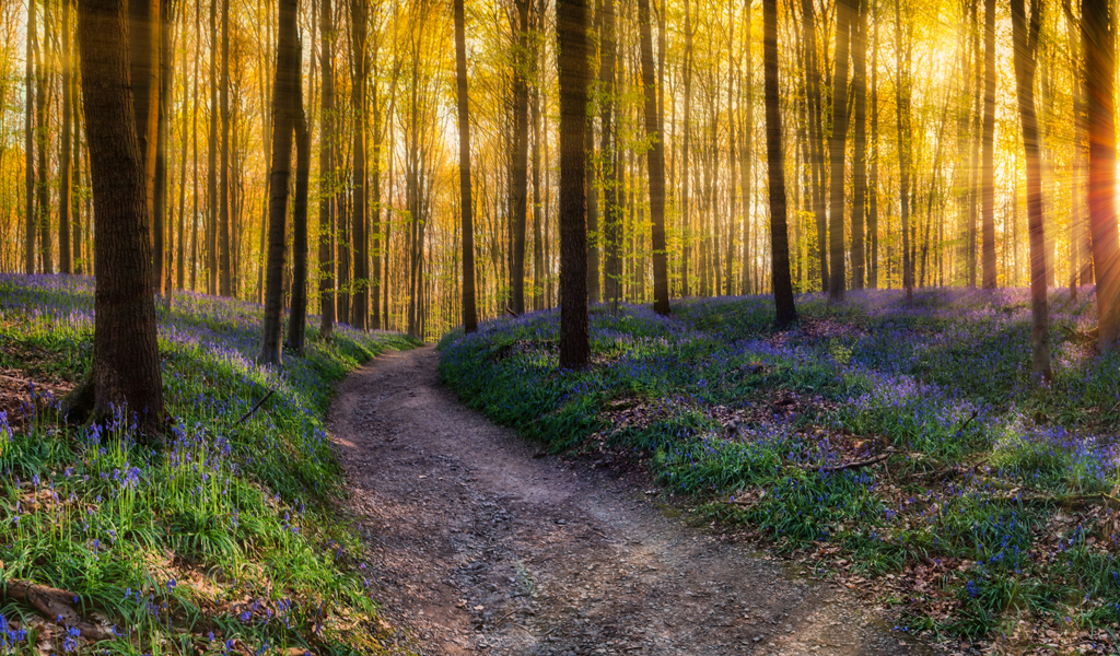 You are currently viewing Politique de l’eau : des objectifs encore troubles