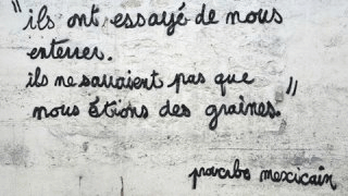 You are currently viewing HUMEUR : L’écologie réformiste, greenwashing politique