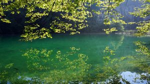 Lire la suite à propos de l’article Pour que la Directive cadre « Eau » reste le moteur de l’amélioration de la qualité des eaux en Europe