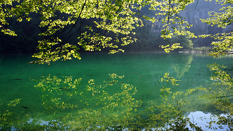 You are currently viewing Pour que la Directive cadre « Eau » reste le moteur de l’amélioration de la qualité des eaux en Europe