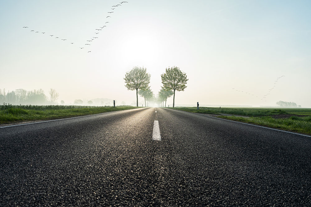 You are currently viewing Du bitume pour les Pandas