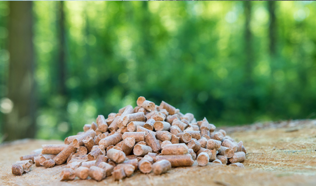 You are currently viewing Les défis de la chaleur renouvelable en Wallonie