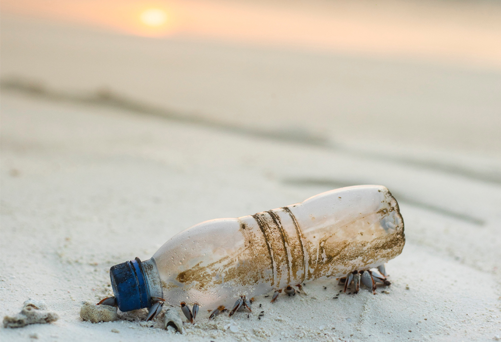 You are currently viewing Pollution plastique : la Wallonie avance malgré les résistances