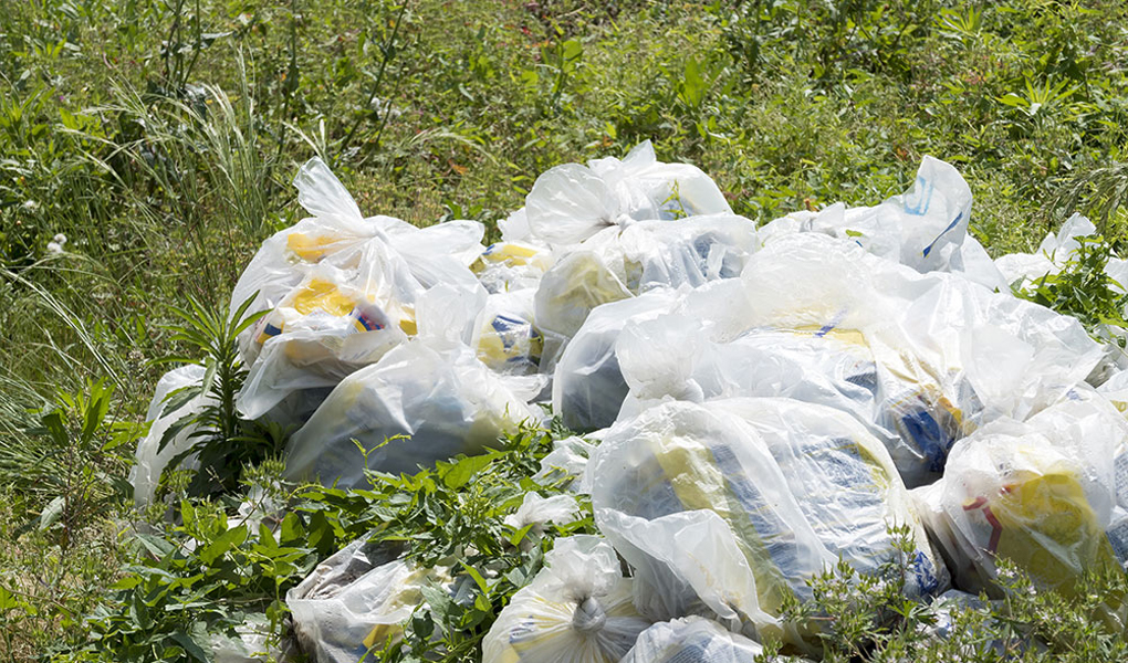 You are currently viewing Le décret « délinquance environnementale » est adopté