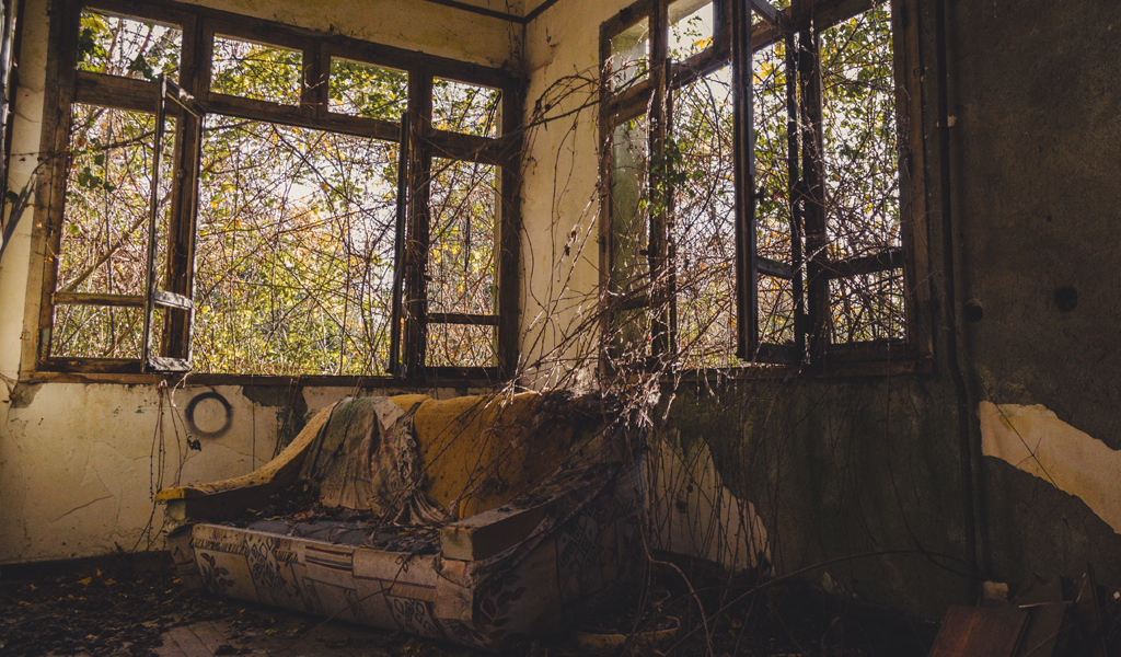 You are currently viewing La crise environnementale sur le divan