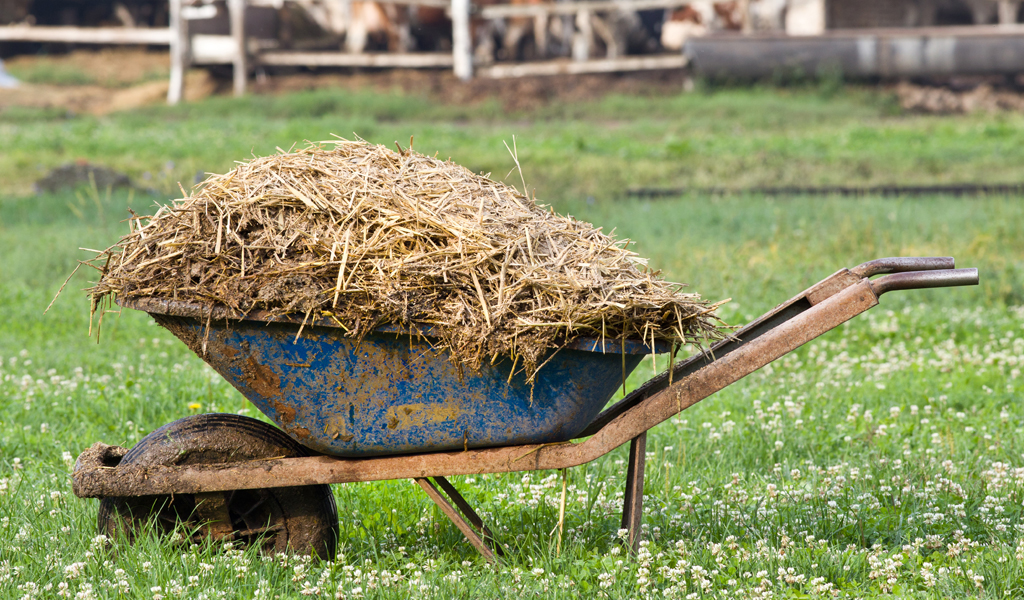You are currently viewing Il est encore temps de revoir le projet Biogaz SIBIOM !