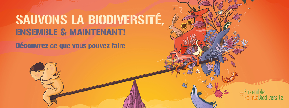 You are currently viewing Sauvons la biodiversité, ensemble et maintenant !