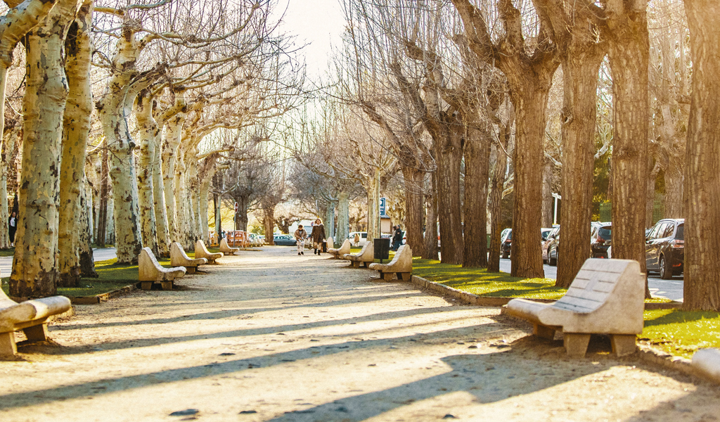 You are currently viewing Améliorer la sécurité routière et la qualité de l’air