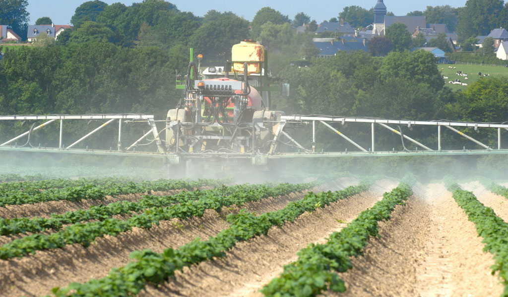 You are currently viewing Pesticides et effets sur la santé : nouvel état des lieux