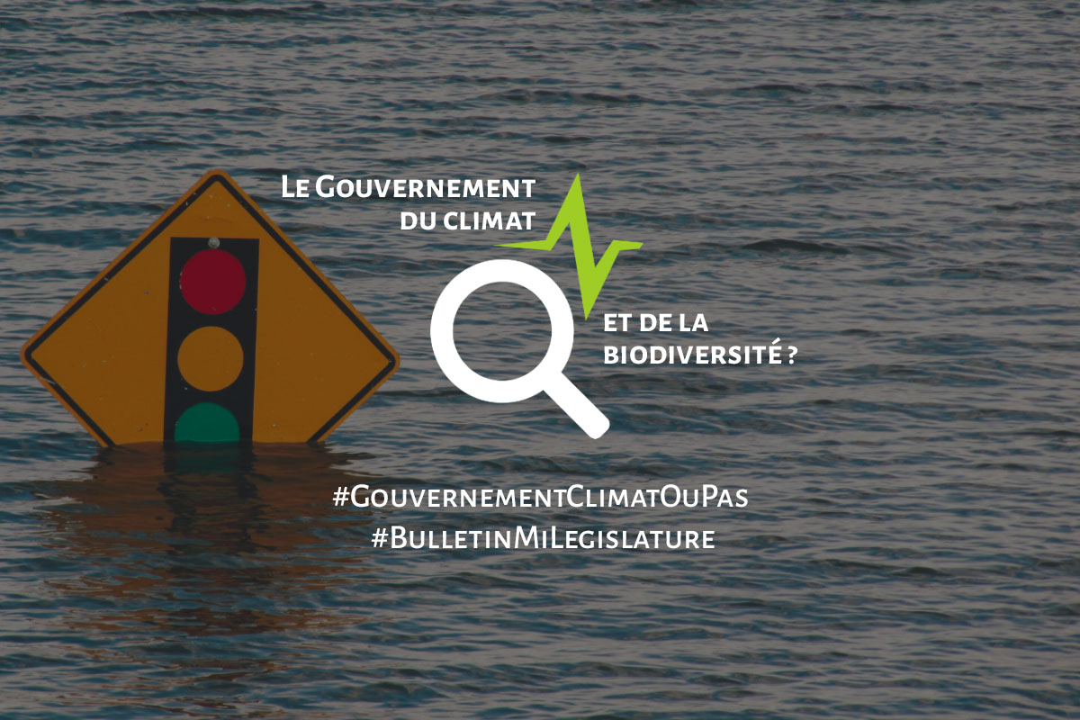 You are currently viewing Bulletin mi-législature : Où en est-on ?