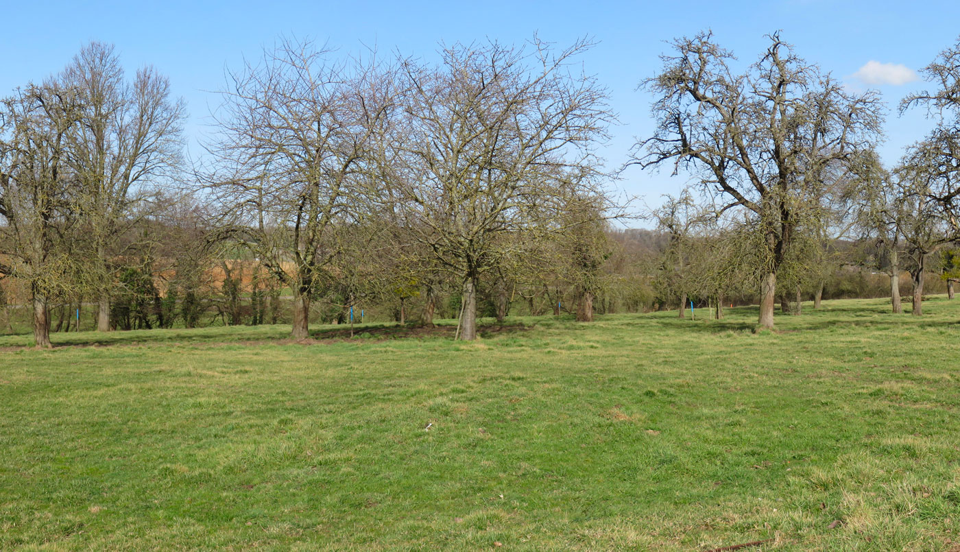 You are currently viewing Faites de la place à l’agriculture urbaine et périurbaine !