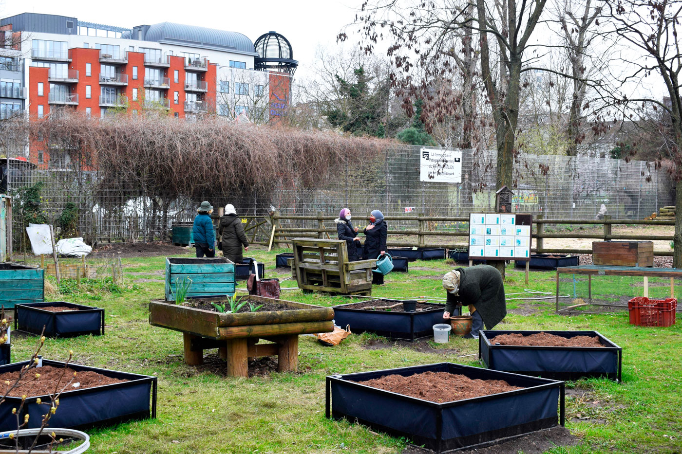You are currently viewing De la chasse aux pommes de terre à la ferme Maximilien