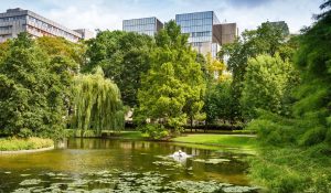 Sept établissements touristiques bruxellois obtiennent la certification de durabilité Green Key CleVerteBruxelles