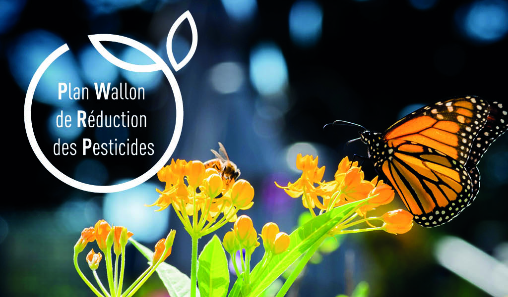 You are currently viewing Plan Wallon de Réduction des Pesticides : participez à l’enquête publique !