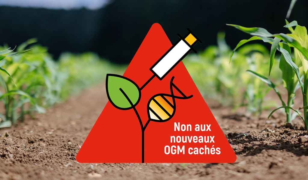 You are currently viewing OGM : Nouveaux ne veut pas dire meilleurs !