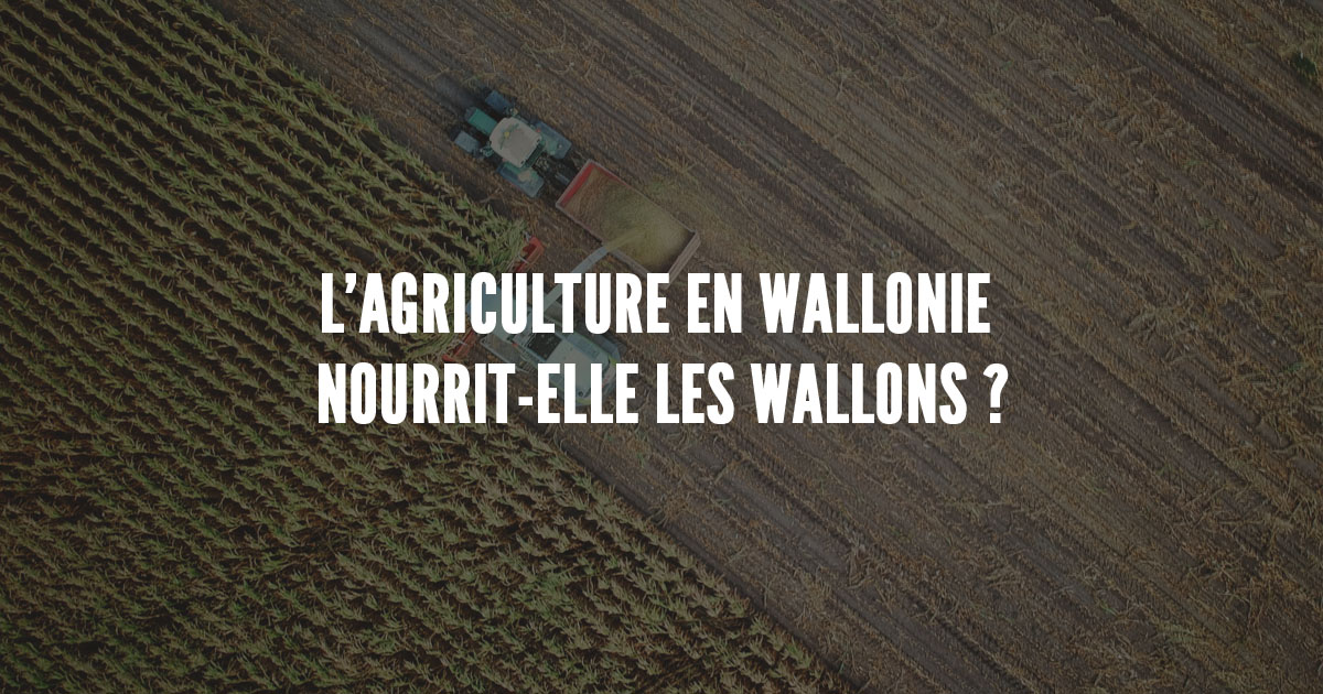 L'agriculture en Wallonie nourrit-elle les Wallons ? - Terre Mécanique 2020
